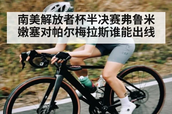南美解放者杯半决赛弗鲁米嫩塞对帕尔梅拉斯谁能出线